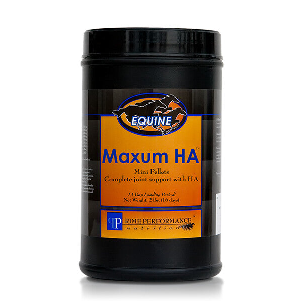 Maxum HA